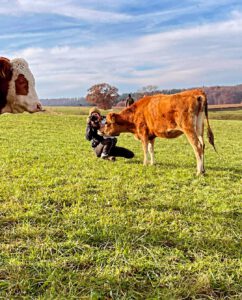 Content fuer die Landwirtschaft